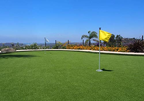 · Petgrow · Pro Putting Green Golf Artificial Grass Turf 13FTX77FT， Indoor Outdoor Golf Training Mat, Synthetic Fake Grass for Baseball Football Gym Sports