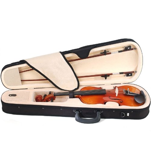 Cecilio CVN-300 Ebony Fitted Solid Wood Violin with Tuner and Lesson Book, Size 4/4 (Full Size)