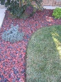 Dreamscape Landscaping Edging High Strength Extruded Aluminum Flower Beds and Gardens Black Anodized 1/8 x4 x8 inch 120’/Box
