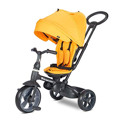 Joovy Tricycoo LX - Zinnia, Zinna