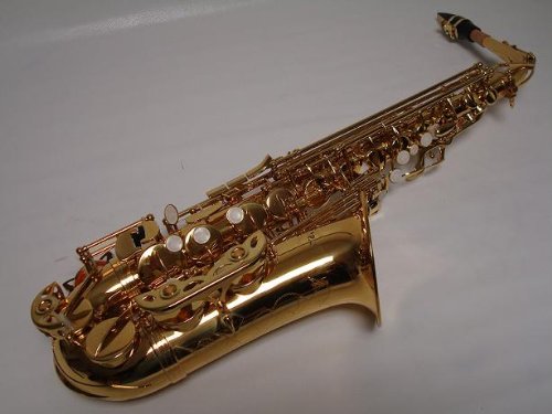 Professional Gold Alto Saxophone Brand New