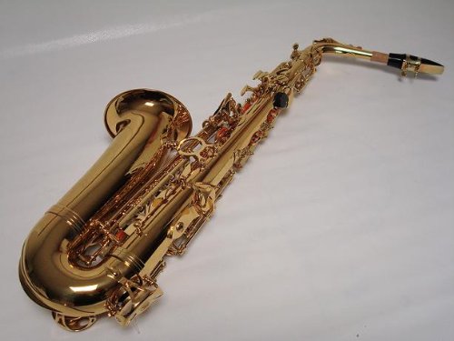 Professional Gold Alto Saxophone Brand New