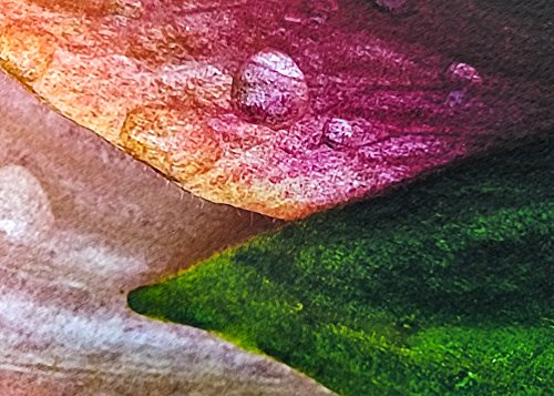 13" X 19" Cold Press Watercolor Fine Art Inkjet Paper - 50 Sheets