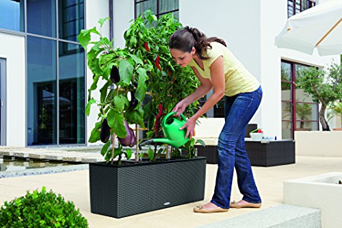 Lechuza 15000 Trio Cottage 30 Self-Watering Garden Planter for Indoor and Outdoor Use, White Wicker