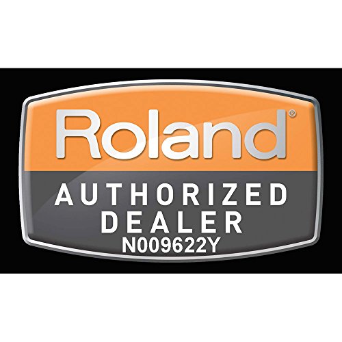 Roland PDX-100 V-Pad 10" Mesh-head Drum Pad with 1 Year Free Extended Warranty