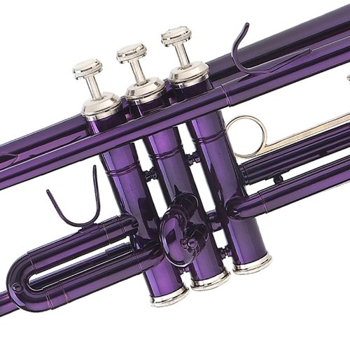 Mendini MTT-PL Purple Lacquer Brass Bb Trumpet + Tuner, Case, Stand, Mouthpiece, Pocketbook & More - MTT-PL+SD+PB+92D