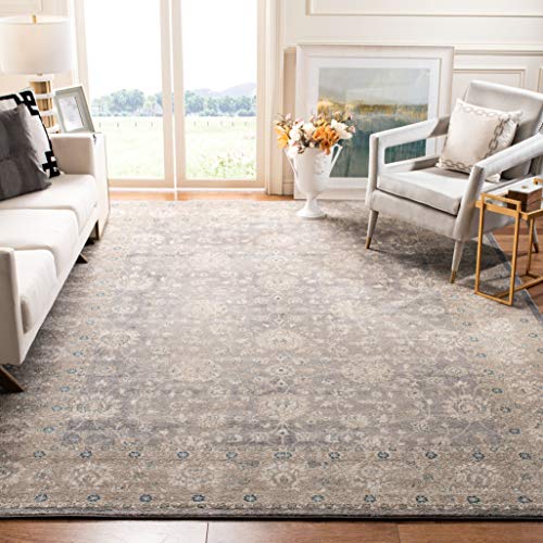 Safavieh Sofia Collection SOF330B Vintage Light Grey and Beige Distressed Area Rug (8' x 10')