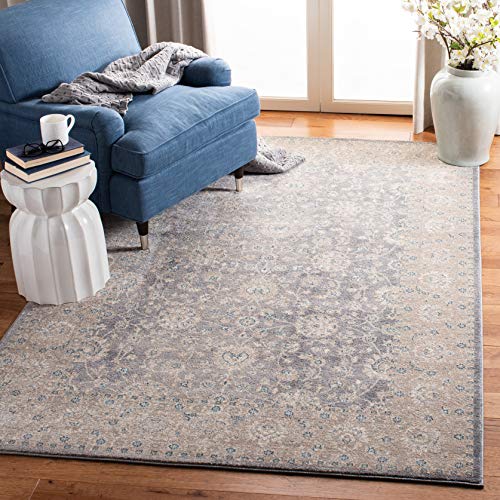 Safavieh Sofia Collection SOF330B Vintage Light Grey and Beige Distressed Area Rug (8' x 10')