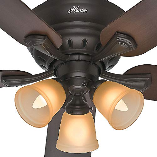 Hunter Fan Company 53012 Hunter Reinert Indoor Low Profile Ceiling Fan with Lights and Pull Chain Control, 52-inch, Premier Bronze