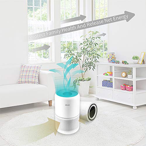 Leemone 2 Pack Core 300 Filter Replacement, Compatible with LEVOIT Purifier Core 300 Air and Core P350，3-in-1 H13 True HEPA Filter，Compare to Part # Core 300-RF and Core P350-RF…