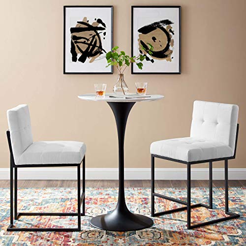 Modway Privy Stainless Steel Upholstered Fabric Counter Stool Set of 2, Black White