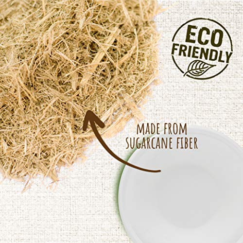 16 Ounce Disposable Bowls Paper Bowls Alternative Compostable Bowls Heavy Duty [Pack of 660] Eco-Friendly 100% Natural Sugarcane Bagasse Fiber Biodegradable by brheez
