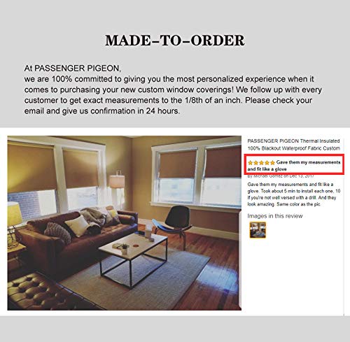 PASSENGER PIGEON Solar Window Shades, Premium Free-Stop Cordless Light Filtering UV Protection Flame Retardant Water Proof Custom Made Roller Shade,44" W x 60" L,Beige