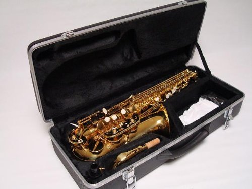 Professional Gold Alto Saxophone Brand New