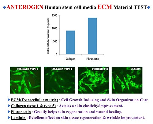 【The WHITESILK I 800,000 ppm, High Potency HUMAN Stem Cell】◈MEGA-CELL Repair Potent ANTIOXIDANT Serum◈┃CREATED Only for Dermatology and LASER Treatment (pack of 6)