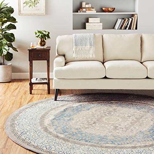 Safavieh Area Rug, 9' Round, Light Grey/Blue