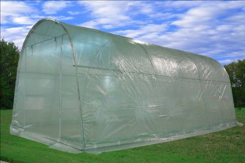 DELTA Canopies - Large Heavy Duty Green House Walk in Greenhouse Hothouse 20' X 10' 125 Pounds