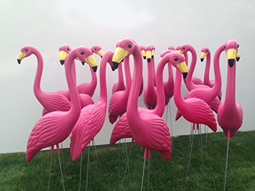 12 Plastic Pink Flamingos, XL Premium Yard Flamingos.