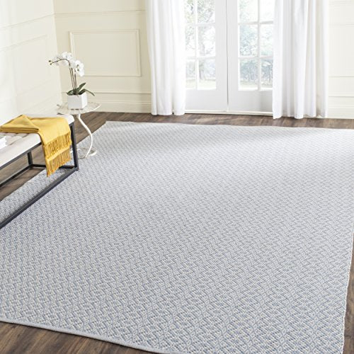 Safavieh Montauk Collection MTK716B Handmade Flatweave Ivory and Light Blue Cotton Area Rug (8' x 10')