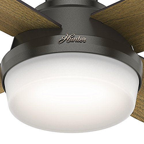 Hunter Fan Company 59447 52" Dempsey Indoor Low Profile Ceiling Fan with Light, Large, Noble Bronze