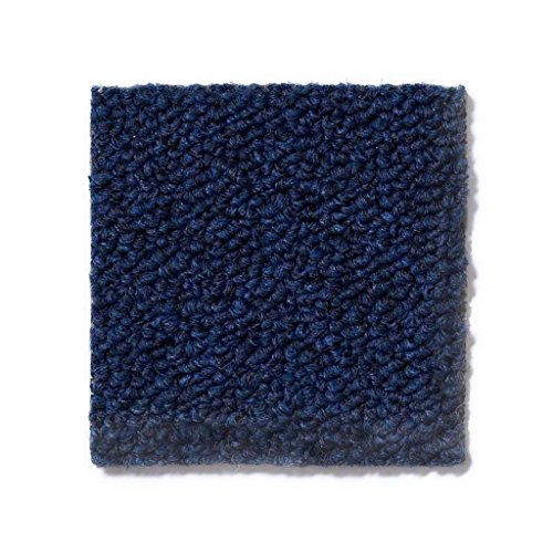 Home Queen Indoor Outdoor Commercial Navy Color Area Rug - 9'x12'