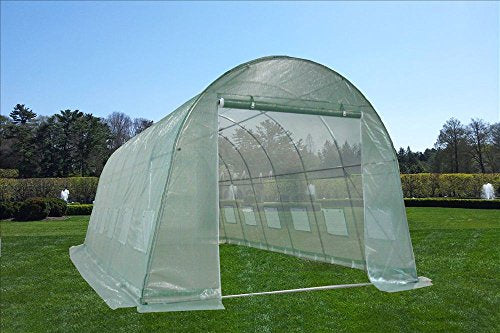 DELTA Canopies - Large Heavy Duty Green House Walk in Greenhouse Hothouse 20' X 10' 125 Pounds