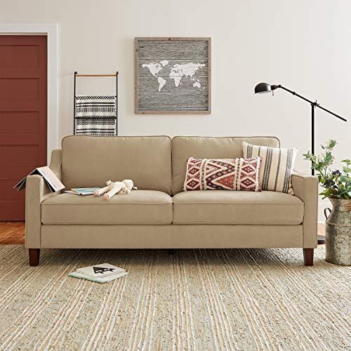 Stone & Beam Blaine Modern Sofa - 79.5 Inch, Beige