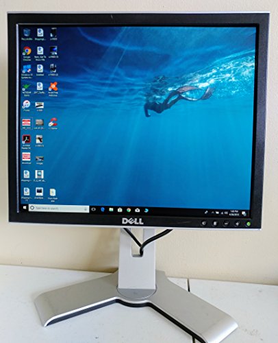 17" Dell 1708FPb DVI Rotating LCD Monitor w/USB Hub (Silver/Black) - Rotates to Portrait or Landscape View!