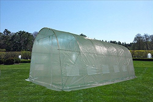 DELTA Canopies - Large Heavy Duty Green House Walk in Greenhouse Hothouse 20' X 10' 125 Pounds