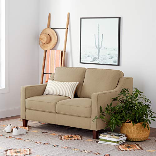 Stone & Beam Blaine Modern Loveseat Sofa - 55.9 Inch, Beige