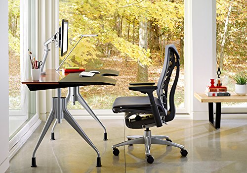 Herman Miller Embody Ergonomic Office Chair | Fully Adjustable Arms and Carpet Casters | Blue Moon Balance