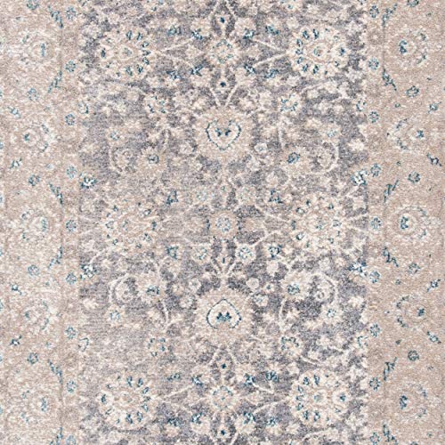 Safavieh Sofia Collection SOF330B Vintage Light Grey and Beige Distressed Area Rug (8' x 10')