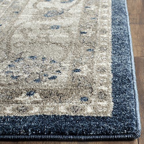 Safavieh Sofia Collection SOF378C Area Rug, 11' x 15', Blue/Beige