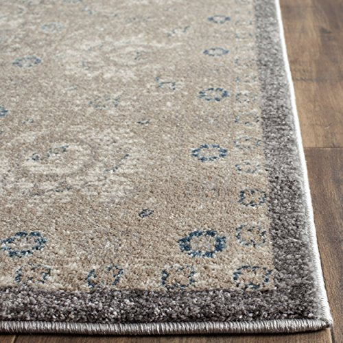 Safavieh Sofia Collection SOF330B Vintage Light Grey and Beige Distressed Area Rug (8' x 10')