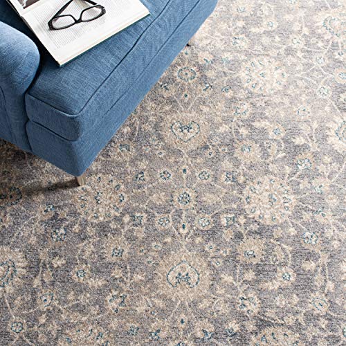 Safavieh Sofia Collection SOF330B Vintage Light Grey and Beige Distressed Area Rug (8' x 10')