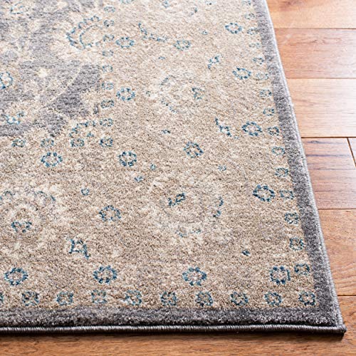 Safavieh Sofia Collection SOF330B Vintage Light Grey and Beige Distressed Area Rug (8' x 10')