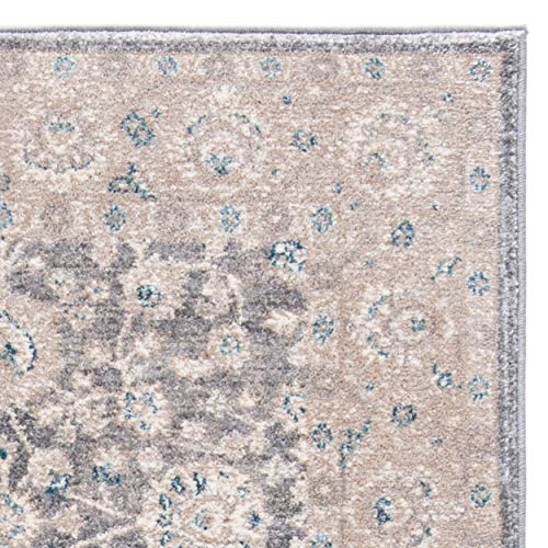 Safavieh Sofia Collection SOF330B Vintage Light Grey and Beige Distressed Area Rug (8' x 10')