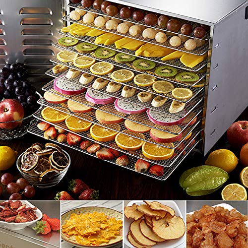 Costzon Professional Food Dehydrator, 1000W Commercial Stainless Steel Food Fruits Preserver With 10 Drying Trays