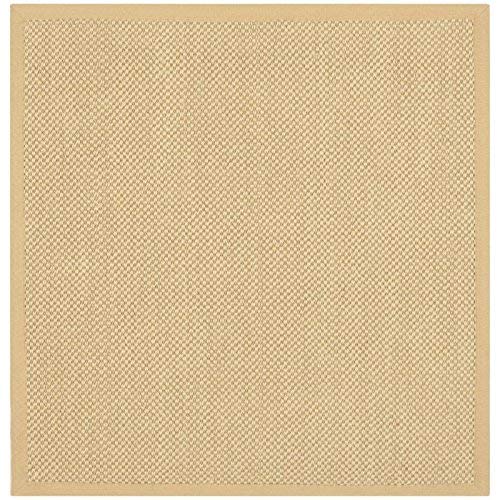 Safavieh Natural Fiber Collection NF443A Border Sisal Area Rug, 9' x 9' Square, Maize / Wheat