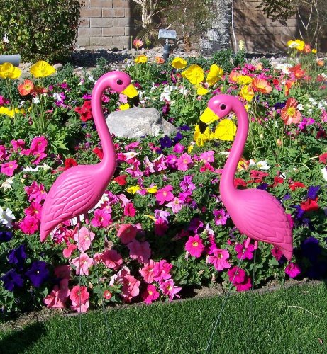 12 Plastic Pink Flamingos, XL Premium Yard Flamingos.