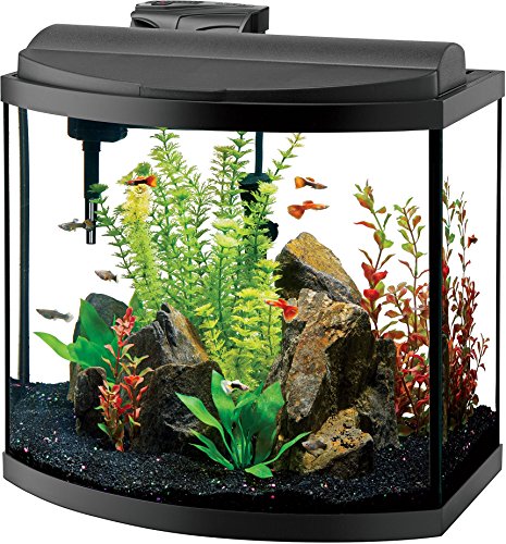 Aqueon Deluxe LED Bow Front Kits, Aquarium, Size 16