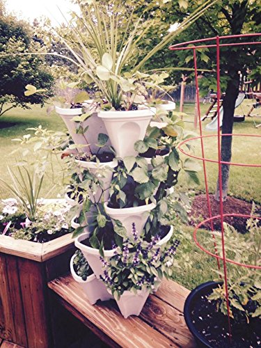 (12) LARGE Stackable Planters Planters - Use Mr Stacky Pots with any Grow Medium - Great For Soil Gardening, Hydroponics, and Aquaponics - Build Your Own Large Stacking Container Garden System - For Growing Strawberry, Vegetable, Herbs, Lettuce, Pepper -