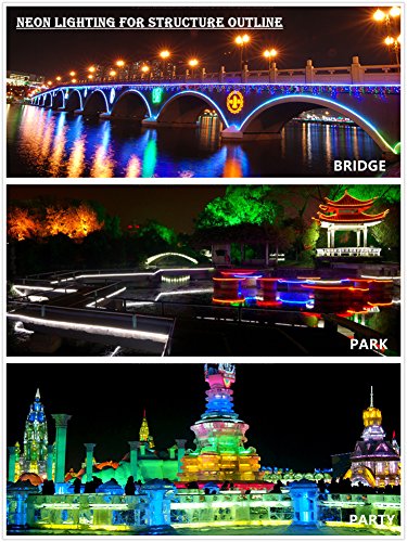 LED NEON IEKOV AC 110-120V Strip Lights 120 LEDs/M Dimmable Waterproof 2835 SMD Rope Remote Controller 131.2ft/40m